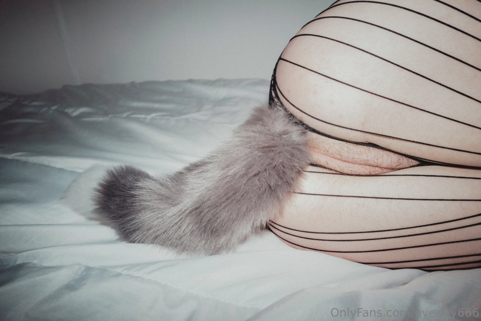 Does my fluffy plug turn you on part 2 