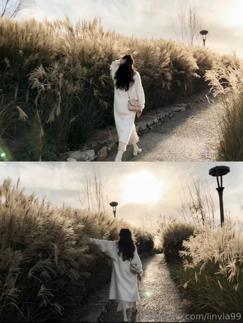 Winter in the northern hemisphere part 1 