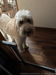 And he says happy new year as well