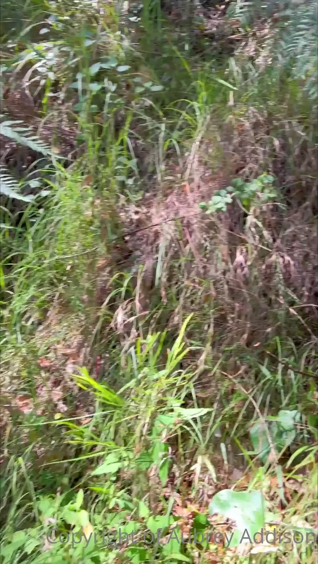 When it s too hot and you have to hike with your titties out 