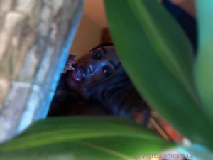 What do you think i was imagining part 1