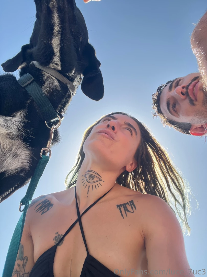 Sunny moment at the sea guarda il dm 