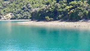 Your real life siren