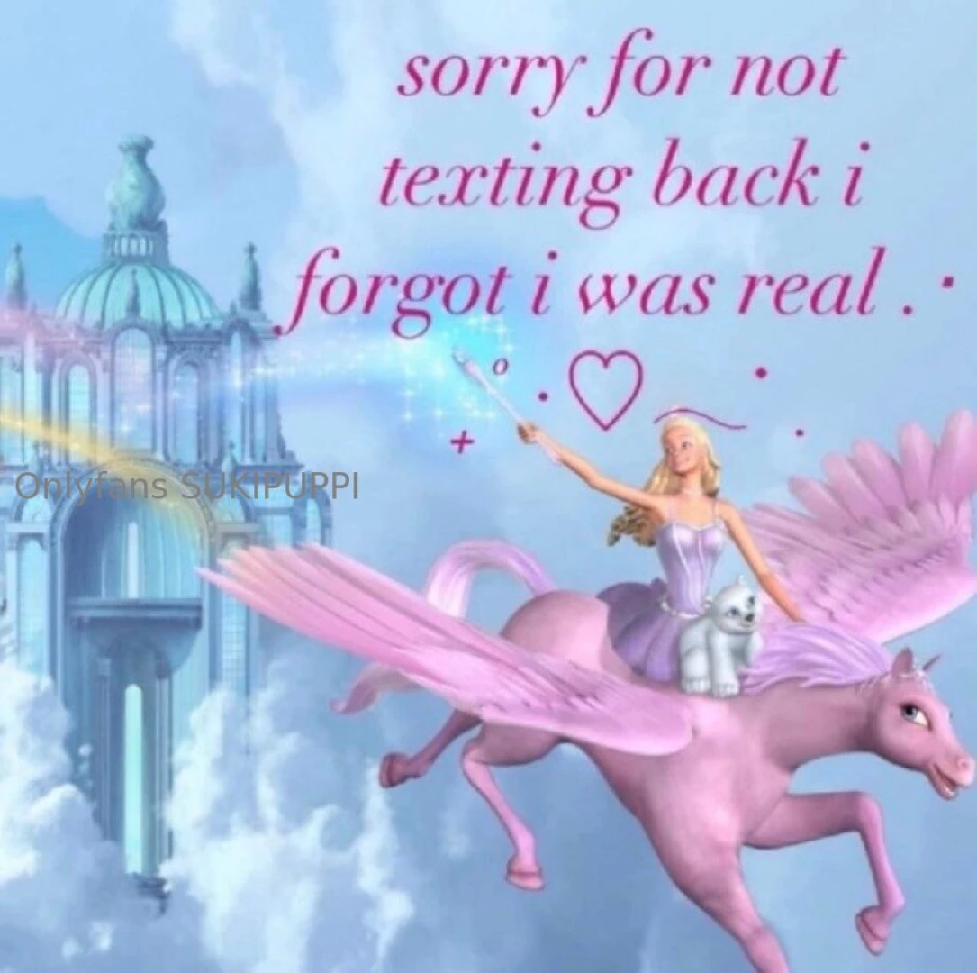 Need new pet play gear 