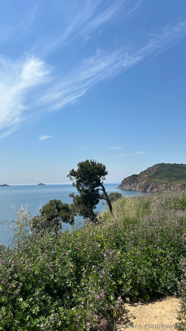I want to tell you about my recent nature trip the princes islands are 