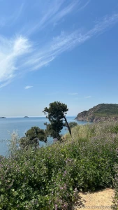 I want to tell you about my recent nature trip the princes islands are