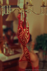 Up three flights of stairs in a decadent victorian home turned airbnb part 4