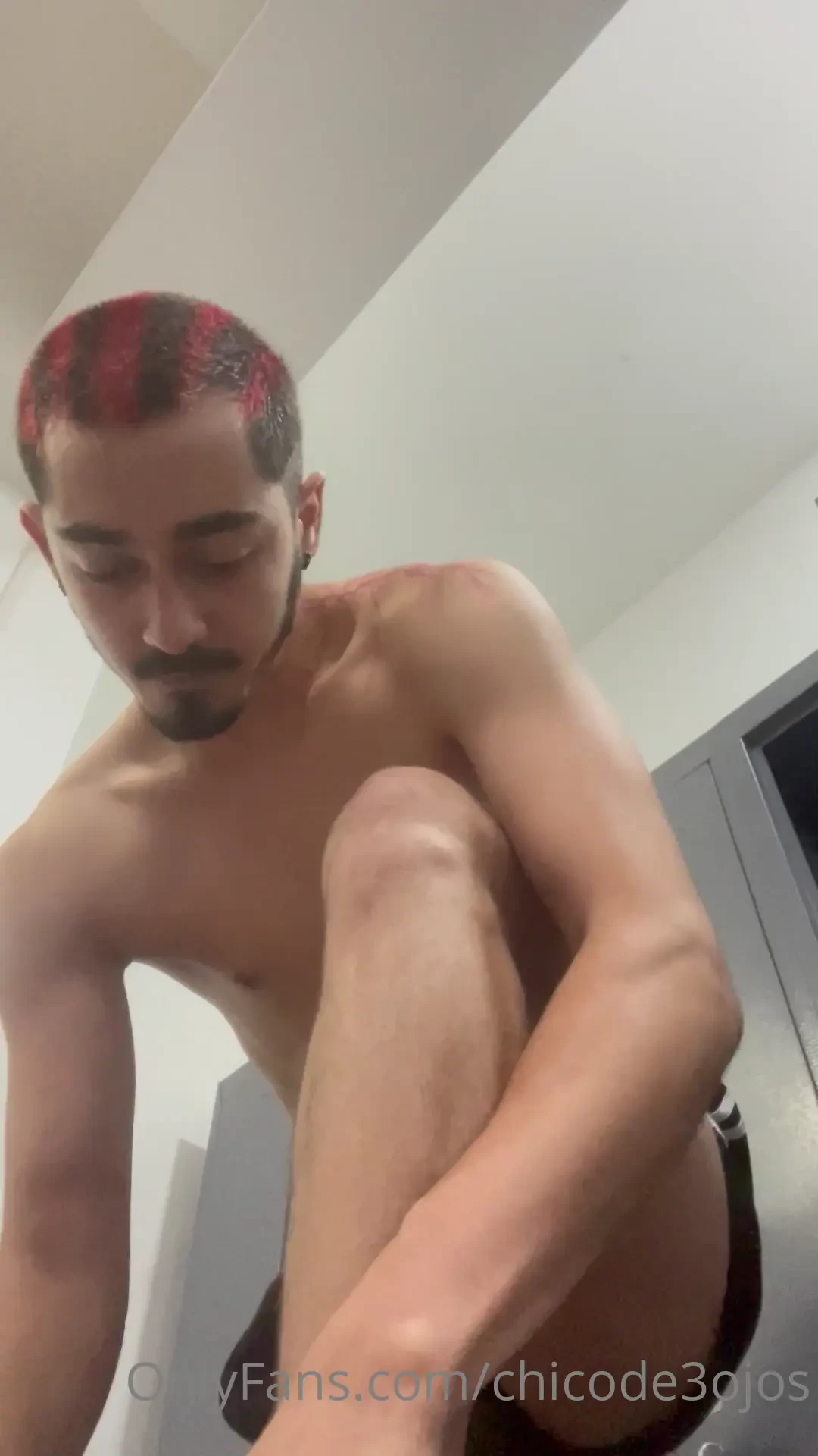 Si te pudieras comer solo uno cu l ser a pd tengo nuevo pelito 