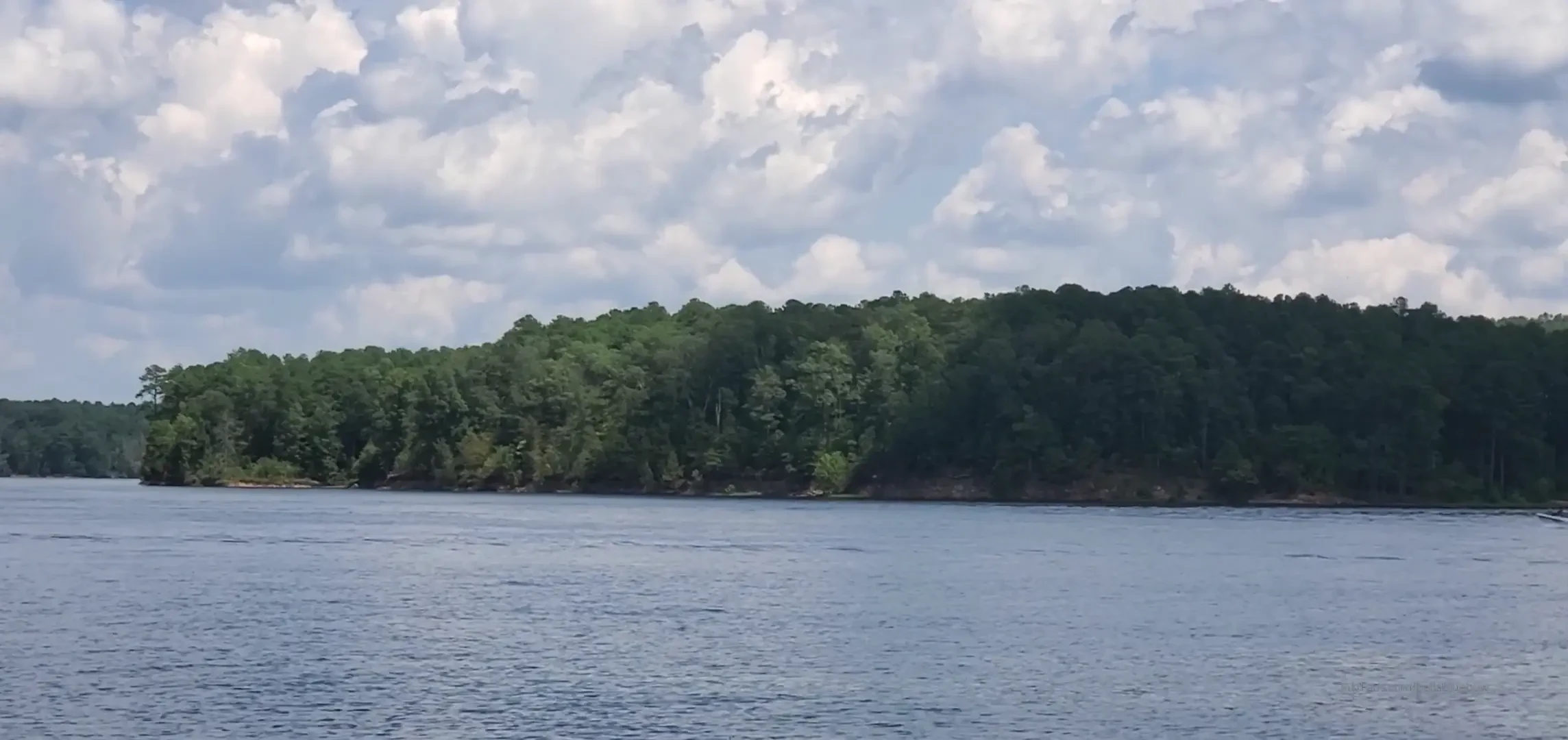 Raleigh was so green i ve never seen a city inside a forest the birds part 1 