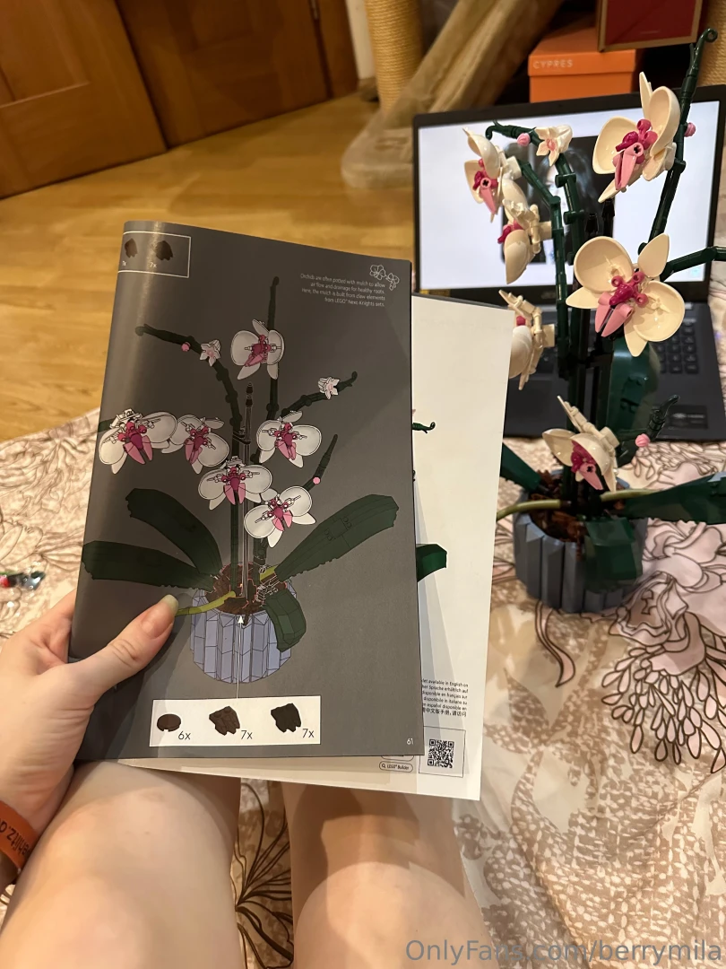 I love to build lego it s my new hobby to shift my focus from everyday 