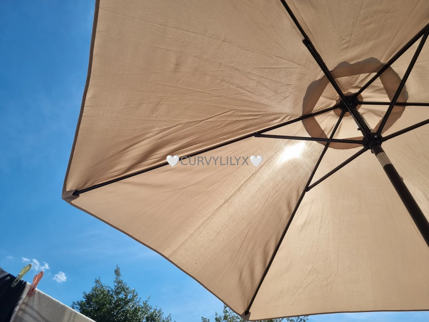 Hope your day is as beautiful as this babe xx 