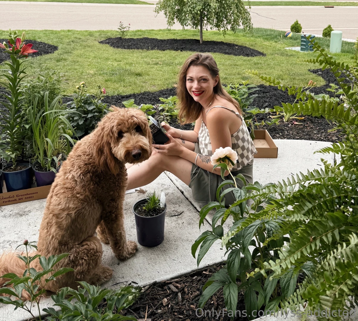 What did you do this weekend i got to work in my garden perfect part 1 