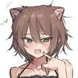catboywife