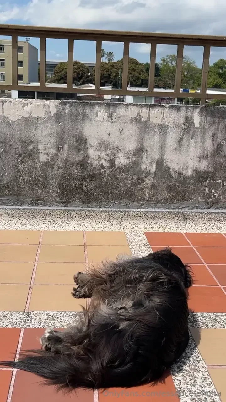 Mi s bado hasta ahora c mo va tu s bado 