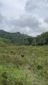 Trekking under cloudy skies but it cleared up right as i arrived at