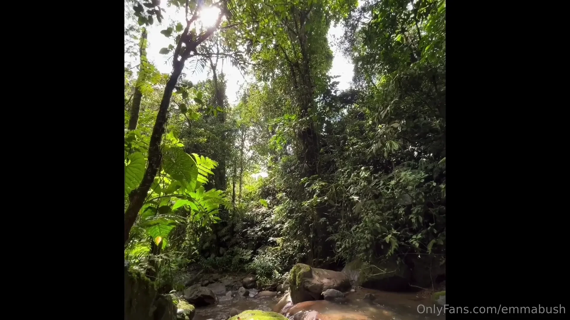 Aqu estuve el lunes am este lugar 