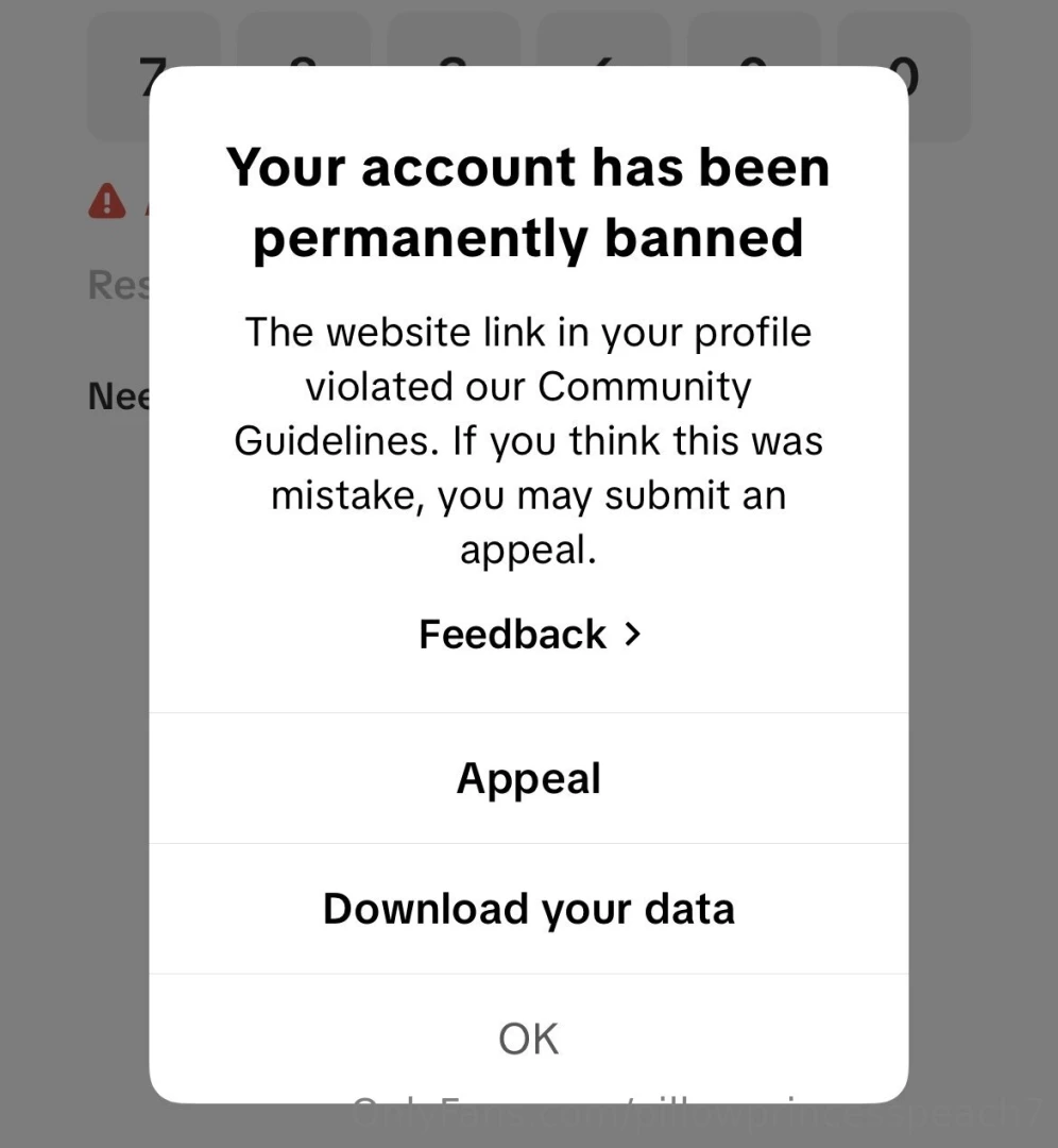 Rip tiktok should i try to make another 