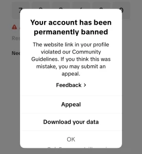 Rip tiktok should i try to make another