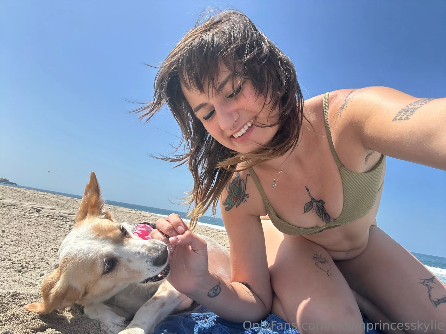 Perfect beach day with my disabled dog 
