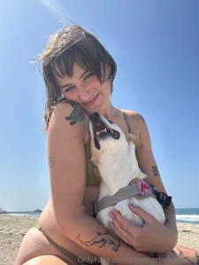 Perfect beach day with my disabled dog part 4