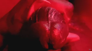 It s the red light special