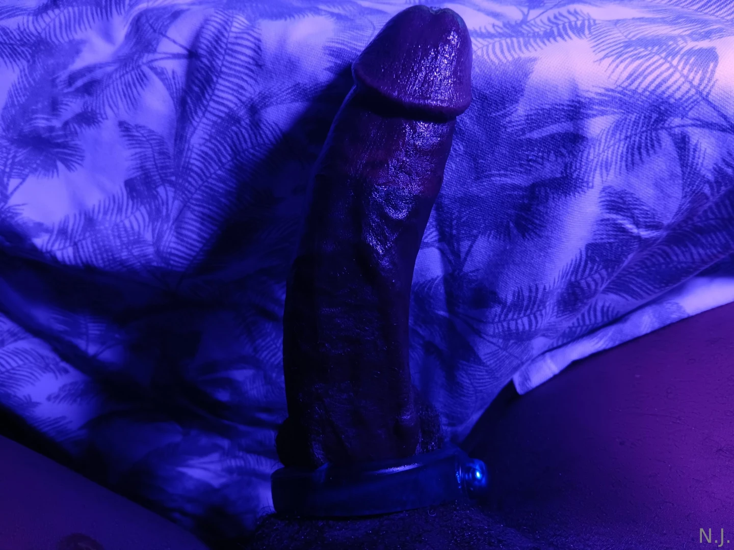 Happy new year part 2124 