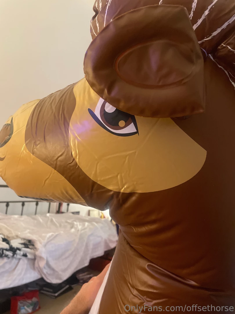 Some of the warm up and the pony helper 