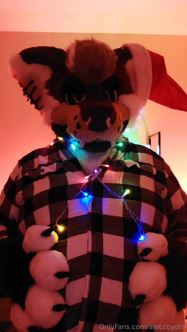 Santa paws wishes you a merry christmas part 4 