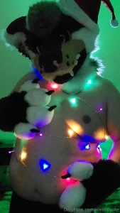 Santa paws wishes you a merry christmas part 3