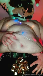 Santa paws wishes you a merry christmas part 2