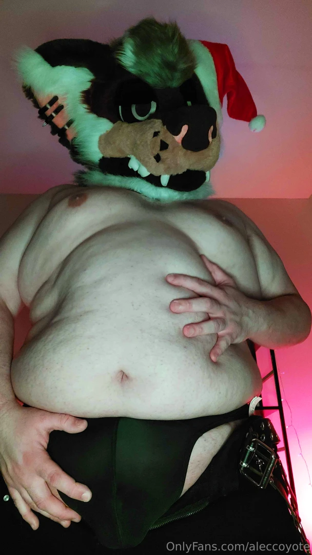 Santa paws wishes you a merry christmas part 6 