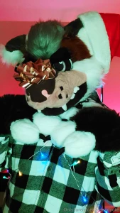 Santa paws wishes you a merry christmas part 8