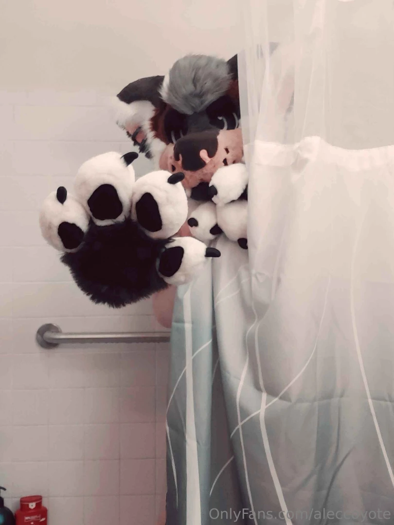 Clean coyote part 2 drops friday part 1 