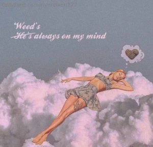 Bet you d behave better if this sat on your face