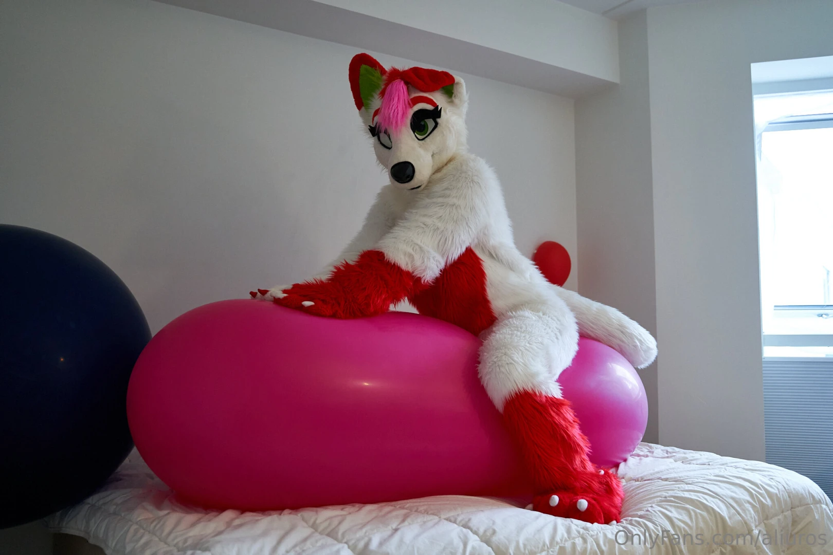 Thats not a cucumber belkalunokhod not even close but it sure looks 