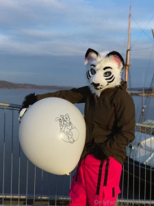 What to do on a sunny day and belkalunokhod is not around