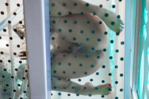I m ready for a night of pleasure with you part 5