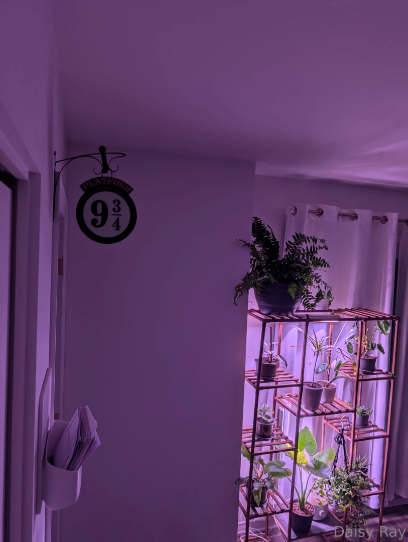 Richest-taboo part 1 