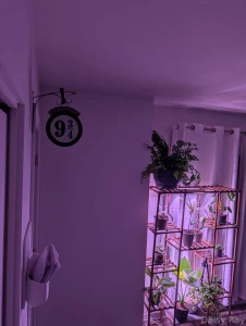 Richest-taboo part 1