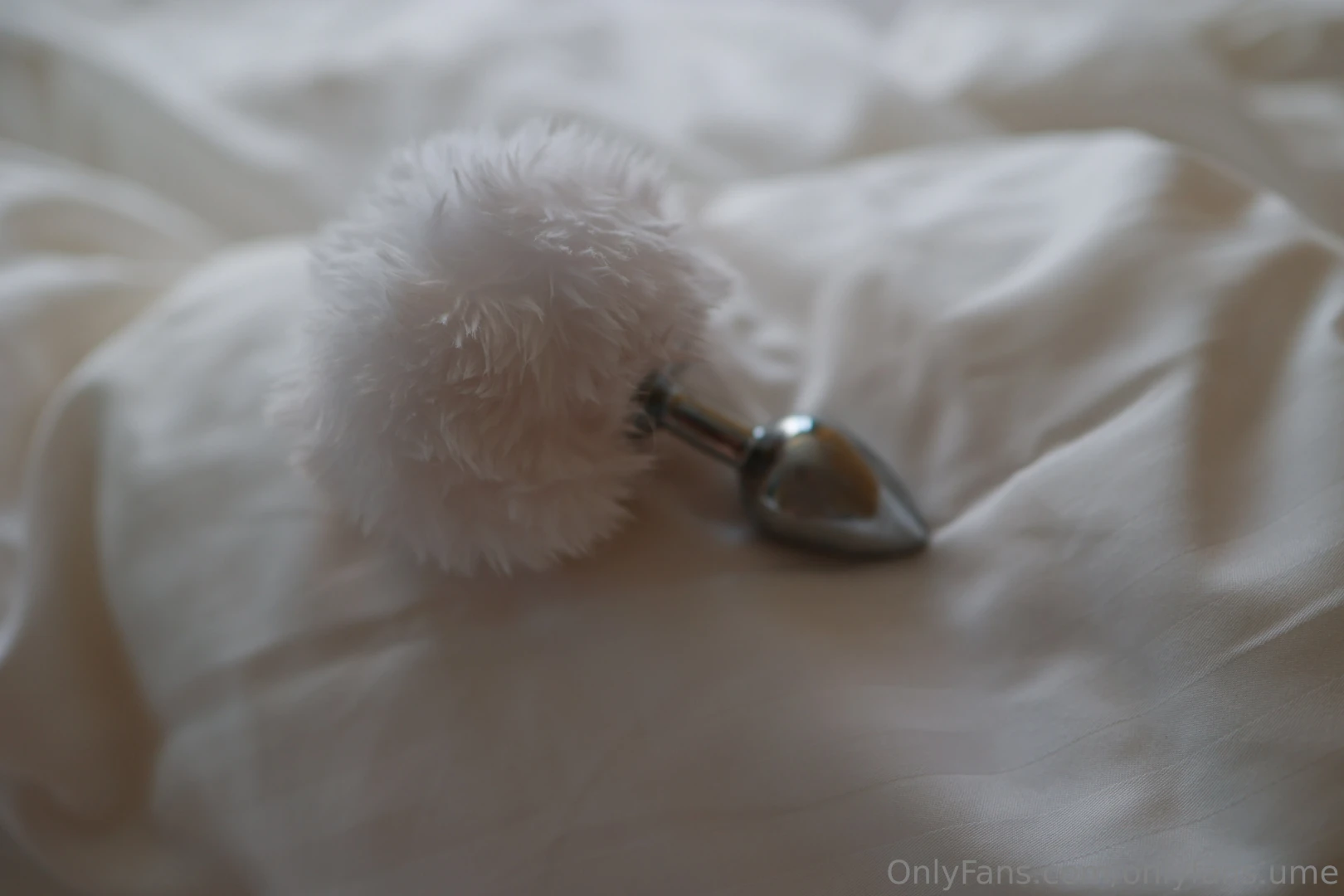 Curious 100 photos latex corset bunny tip 50 per photo e g tip 20 get 