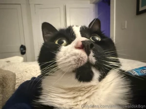 Loving my new towels cootchedie does too oh guess what i have a really