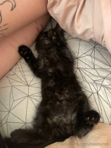 And so i hasten to tell you the news it s marcel or marsik my new pet