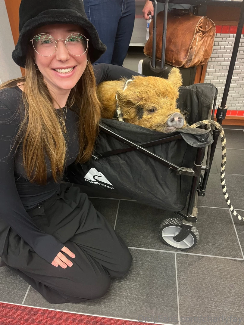 Fun fact i love farm animals 