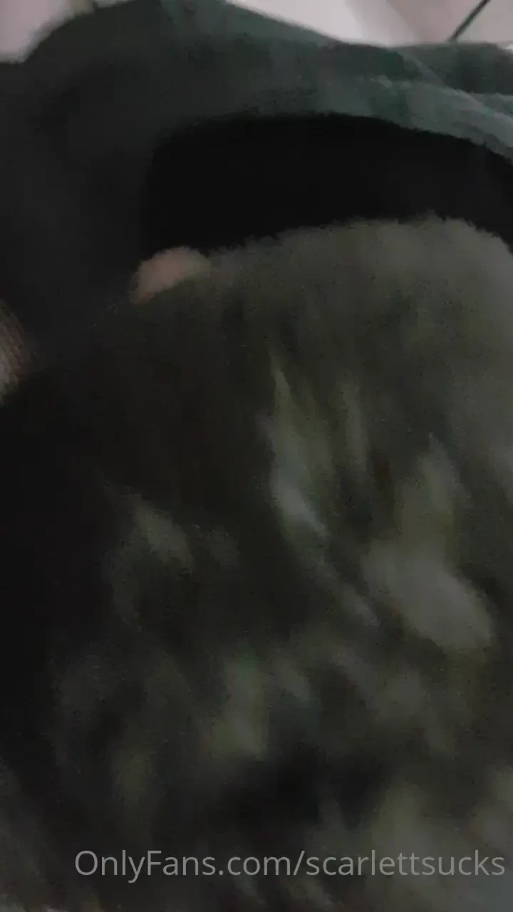 Fuck didn t have to teach him much it comes naturally to him 