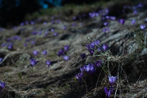 I spent the weekend in the mountains and it was just what i needed part 7