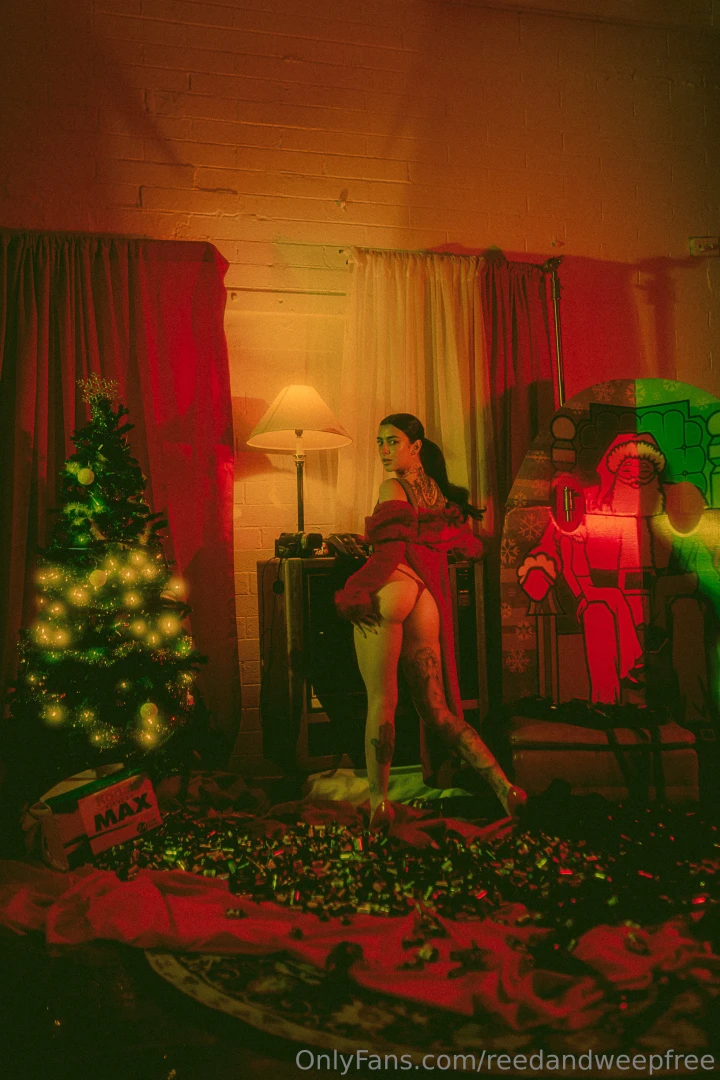 Brand new christmas gallery for 2024 i shot this in my photo studio part 2 