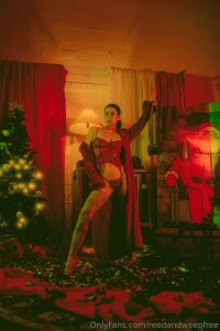 Brand new christmas gallery for 2024 i shot this in my photo studio