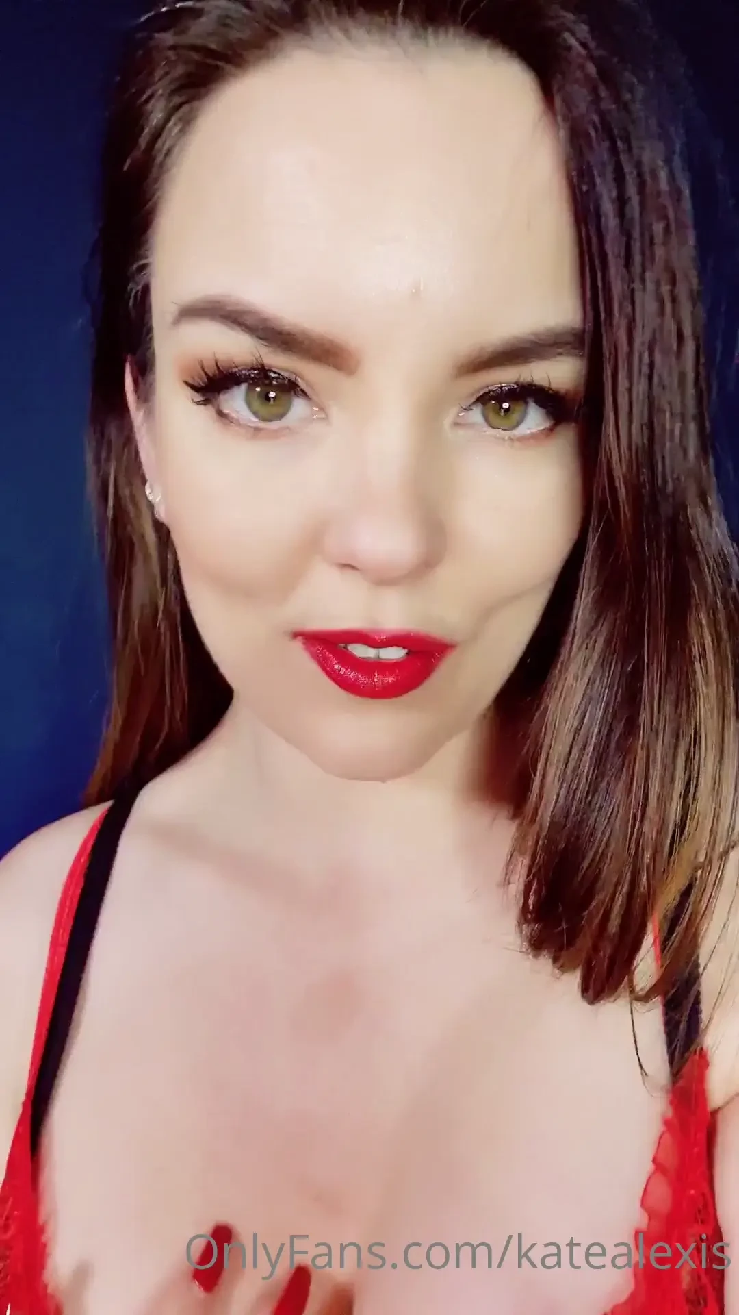 Vid hello pets 