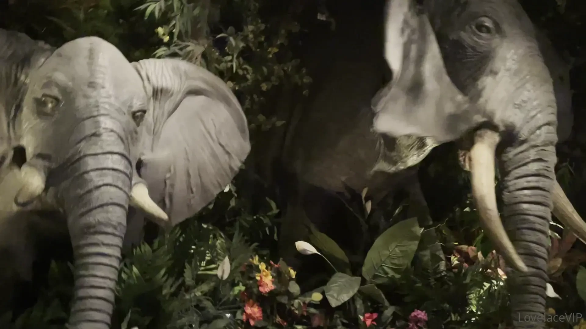 Happy birthday to me from rainforest cafe part 6 