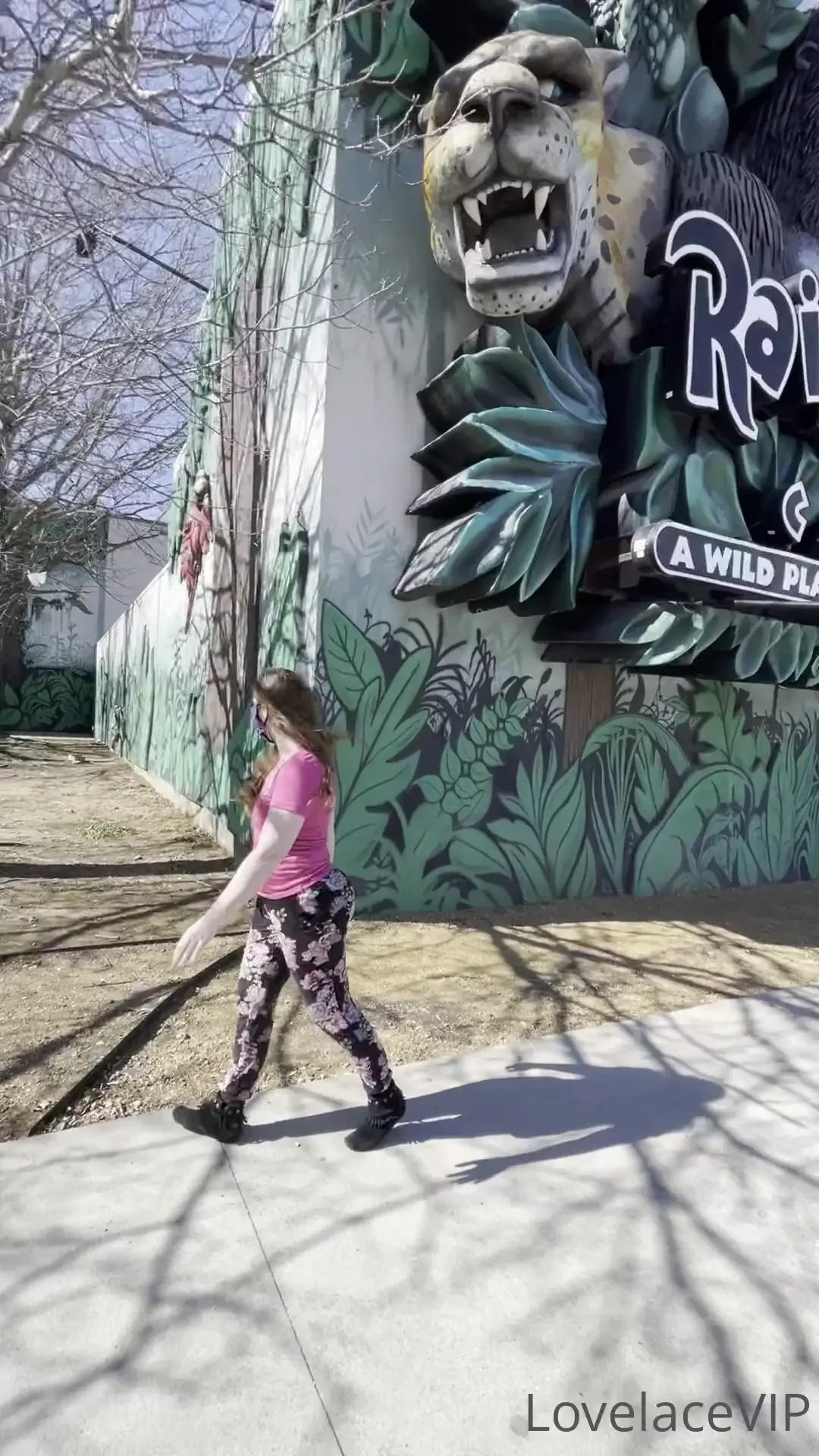 Happy birthday to me from rainforest cafe part 2 